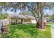 Landscaped front yard with a beautiful lawn and a mature tree providing shade to the residence at 1017 Hamilton Ave, Tarpon Springs, FL 34689