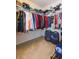 Organized walk-in closet with hanging and shelf space for clothes and storage, and carpet flooring at 11109 Carrick Stone St, Wimauma, FL 33598