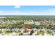 Aerial view of neighborhood with pond, lush trees, and homes at 11845 Newberry Grove Loop, Riverview, FL 33579