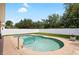 A backyard showcases a freeform pool with a handrail and a view of the lawn and fence at 11845 Newberry Grove Loop, Riverview, FL 33579