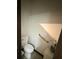 Powder room showing toilet with accessibility bar and neutral wall paint at 13172 Green Violet Dr, Riverview, FL 33579
