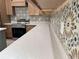 Kitchen counter with stainless appliances and light countertops at 13532 14Th St, Dade City, FL 33525