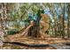Community playground with climbing structures and slides, surrounded by mature trees at 15422 Starling Crossing Dr, Lithia, FL 33547