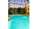 An in-ground pool in a screened-in lanai at night with string lights and plants at 15422 Starling Crossing Dr, Lithia, FL 33547