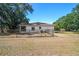 Fenced backyard with ample green space, offering privacy and room for outdoor activities at 18902 Spring Hollow Dr, Lutz, FL 33559