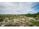 View of sandy beach dunes and a path leading to the ocean under a partly cloudy sky at 1912 Gulf Blvd # 305, Indian Rocks Beach, FL 33785
