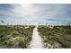 Sandy path through beach foliage leading toward the ocean under a partly cloudy sky at 1912 Gulf Blvd # 305, Indian Rocks Beach, FL 33785