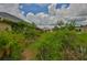Home's backyard showing lush landscaping and a glimpse of the house at 1915 W Del Webb Blvd, Sun City Center, FL 33573