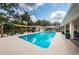Backyard oasis featuring a sparkling pool, privacy landscaping, and sunny patio area at 2834 Pelham N Rd, St Petersburg, FL 33710