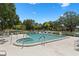 Community pool surrounded by lounge chairs and mature trees at 3137 Mission Grove Dr # 3137, Palm Harbor, FL 34684