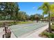 Outdoor recreation with shuffleboard courts bordered by green space, palm trees, and park benches at 3137 Mission Grove Dr # 3137, Palm Harbor, FL 34684