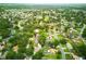Expansive aerial view of a neighborhood with lush greenery and tree-lined streets at 4101 Brooke Dr, Valrico, FL 33594
