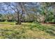 Expansive backyard with mature trees, providing ample shade and a serene outdoor space at 6514 Sunhigh Dr, New Port Richey, FL 34655