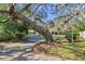 Scenic view of the property's driveway, framed by a large, moss-draped tree and lush greenery at 6514 Sunhigh Dr, New Port Richey, FL 34655