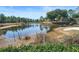 Scenic pond view surrounded by lush greenery and trees, offering a tranquil natural setting at 7337 Glasgow Rd, Weeki Wachee, FL 34613
