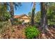 Charming front yard featuring lush landscaping, including mature trees and colorful flower bushes, enhancing curb appeal at 7353 Dogwood Cres, Spring Hill, FL 34607