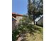 Landscaped backyard featuring a mature tree and tropical flowering shrub in a well-maintained setting at 7360 Ulmerton Rd # 20F, Largo, FL 33771
