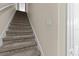 Carpeted staircase featuring neutral color scheme and leading to an upper level at 800 Callista Cay Loop, Tarpon Springs, FL 34689
