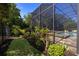 Lush backyard featuring a well-manicured lawn and tropical plants, perfect for outdoor relaxation at 8434 Dunham Station Dr, Tampa, FL 33647