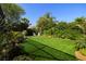 Serene backyard oasis with green lawn, tropical foliage, and comfortable lounge chairs for relaxation at 8434 Dunham Station Dr, Tampa, FL 33647