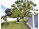 Wide shot of the grassy backyard, including a patio, mature tree, and white fence at 11303 Hollyglen Dr, Tampa, FL 33624