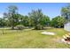 Expansive backyard enclosed by a chain-link fence and dotted with mature trees at 12502 Tocci Ln, Riverview, FL 33579