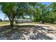 Large backyard featuring a patch of dirt at 12502 Tocci Ln, Riverview, FL 33579