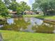 View of the community pond with reflection of the surrounding trees at 1693 Fry Ct, Dunedin, FL 34698