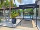 Braemoor Village community pool entrance with a decorative potted palm tree at 1693 Fry Ct, Dunedin, FL 34698