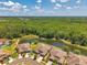 Overhead shot of homes bordering a lush green forest and a serene lake in a well-kept neighborhood at 30327 Lettingwell Cir, Wesley Chapel, FL 33543