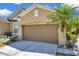 Side angle view of tan home featuring a brown garage door, a palm tree, and lawn decorations at 30327 Lettingwell Cir, Wesley Chapel, FL 33543