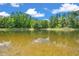 A scenic view of the neighborhood pond at 30327 Lettingwell Cir, Wesley Chapel, FL 33543