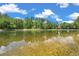 A scenic view of the neighborhood pond at 30327 Lettingwell Cir, Wesley Chapel, FL 33543