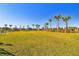 Expansive green lawn at the community park, lined with palm trees and benches for relaxing at 34084 Torrent Ln, Wesley Chapel, FL 33543