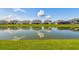 Scenic pond reflects homes in a beautiful neighborhood at 34084 Torrent Ln, Wesley Chapel, FL 33543