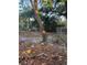 Overgrown backyard with trees and debris at 3713 E Clifton St, Tampa, FL 33610