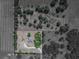 Home in color within lot lines, showcasing the pool and surrounding acreage in monochrome at 38824 Raiser Rd, Dade City, FL 33525