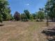 A wide open space in the backyard, perfect for outdoor activities, is framed by mature trees and lush landscaping at 38824 Raiser Rd, Dade City, FL 33525