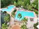 Aerial view of the community pool area with mature palm trees and outdoor seating at 7031 Kendall Heath Way, Land O Lakes, FL 34637