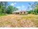 Expansive backyard featuring a well-maintained lawn and mature trees, great for outdoor living at 7340 West Dr, Wesley Chapel, FL 33544