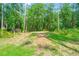 Lush, green backyard with mature trees, offering a serene and private outdoor space at 7340 West Dr, Wesley Chapel, FL 33544