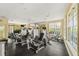 Fully equipped gym featuring modern weight machines and large windows with natural light, creating an ideal fitness environment at 736 Coral Reef Dr, Tampa, FL 33602