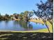 Scenic view of a tranquil pond surrounded by lush greenery and trees at 810 Bluewater Dr, Sun City Center, FL 33573