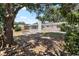 Spacious backyard with grass and treeline offering plenty of room for outdoor activities at 8696 118Th St, Seminole, FL 33772