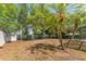 Large backyard with green grass and mature trees at 11709 N Armenia Ave, Tampa, FL 33612