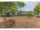 Expansive backyard with mature trees, screened pool, and ample space for activities at 11709 N Armenia Ave, Tampa, FL 33612