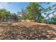 Large fenced backyard with mature trees and landscaping is ideal for outdoor enjoyment at 11709 N Armenia Ave, Tampa, FL 33612