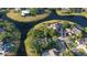 Aerial view of homes with lakefront property, mature trees, and swimming pools at 15704 Mifflin Ct, Tampa, FL 33647