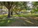 Lush backyard with mature trees, a seating area, and serene landscaping at 15704 Mifflin Ct, Tampa, FL 33647
