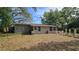 Backyard space with lawn, containers, and a view of the house at 1755 Sunset Point Rd, Clearwater, FL 33755